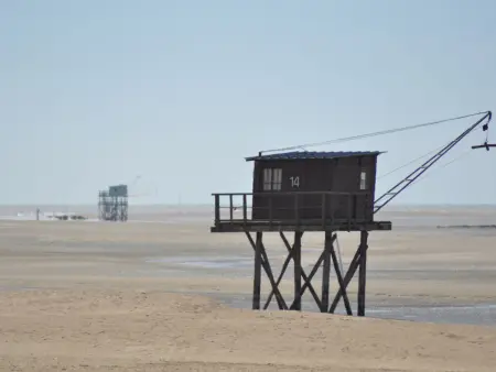 Appartement rénové, lumineux proche plage avec parking - Photo 11