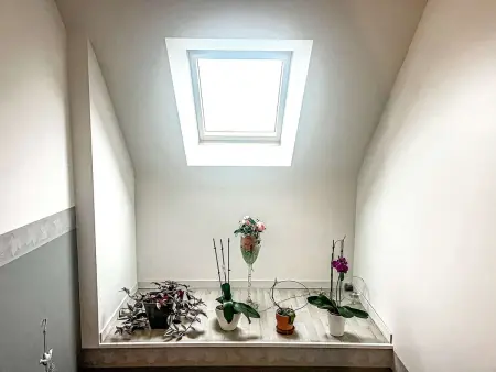 Maison contemporaine à Erdeven - 5 chambres, animaux acceptés - Photo 12