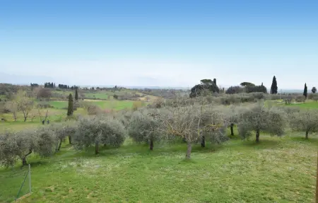 Maison 12 personnes à Marciano della Chiana - Photo 25