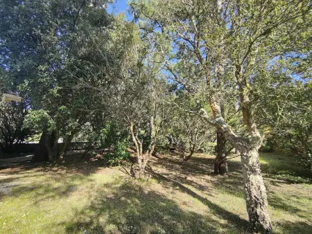 Villa avec jardin clos à Lège-Cap-Ferret, 3 chambres, proche plages - Photo 2