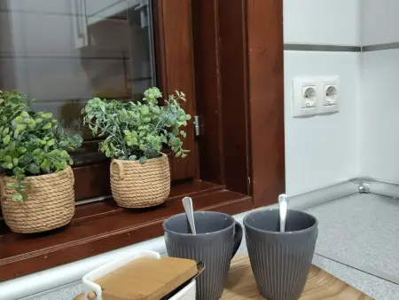 Appartement avec Jardin et Parking à Castiello de Jaca - Photo 4
