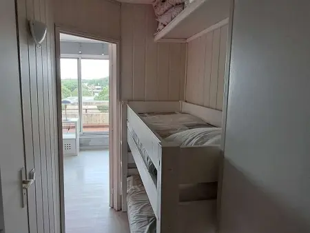 Studio cabine climatisé, piscine, parking, animaux admis, 350m plage - Photo 10