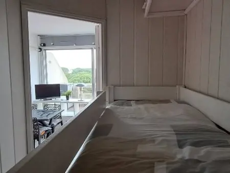 Studio cabine climatisé, piscine, parking, animaux admis, 350m plage - Photo 11