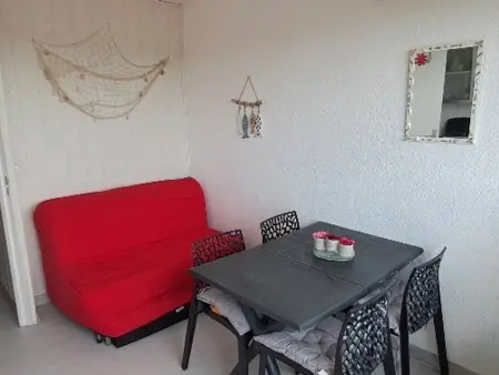Studio cabine climatisé, piscine, parking, animaux admis, 350m plage - Photo 12