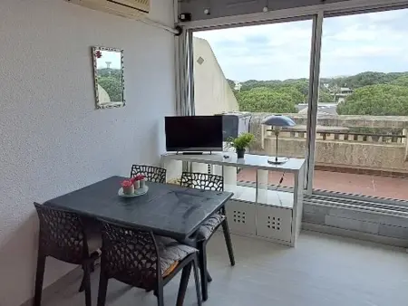 Studio cabine climatisé, piscine, parking, animaux admis, 350m plage - Photo 15