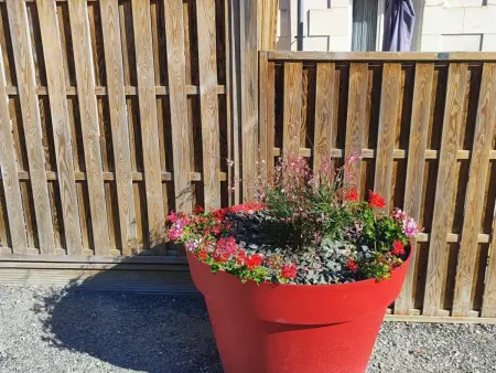 Gîtes confortables près de Beauval avec wifi et parking - Photo 29