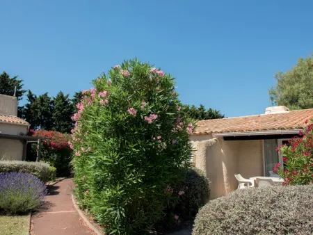 Sowell Résidence Les Lauriers Roses, Appartement 2 personnes à Cap d'Agde - Photo 18