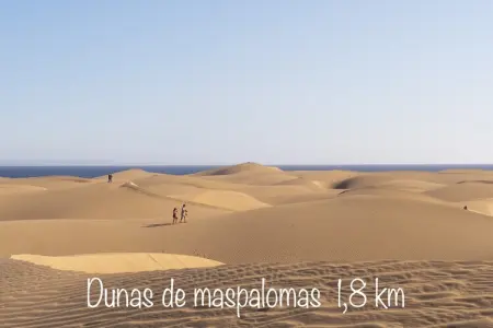 LOS TUNOS 29, Bungalow à Maspalomas près du Golf - Photo 19