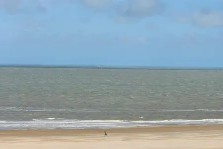 Residentie Gulfstream-12, Escapade moderne en bord de mer - Photo 31