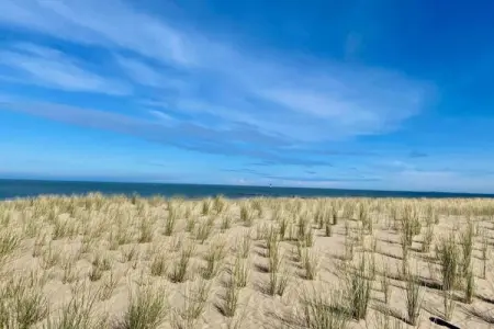Residence Miramar-31, Appartement à Knokke près de la plage Zeedijk - Photo 35