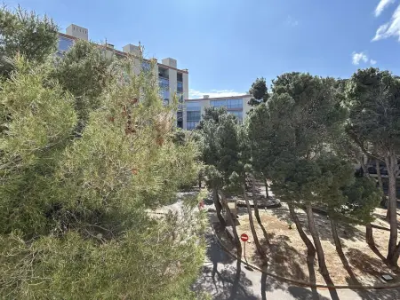 Appartement 2 pièces rénové, climatisé à Banyuls-sur-Mer - Photo 13