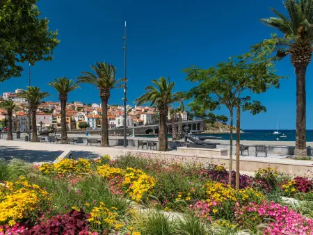 Appartement 2 pièces rénové, climatisé à Banyuls-sur-Mer - Photo 14