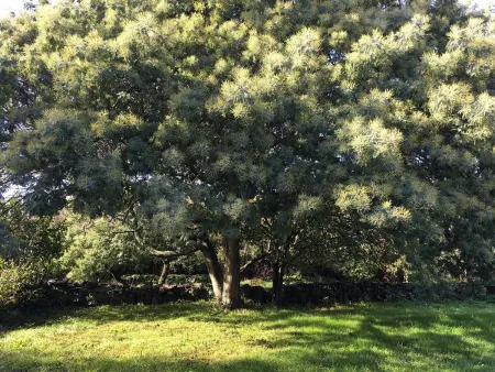 Maison charmante au calme avec jardin à Kerlard - Photo 5