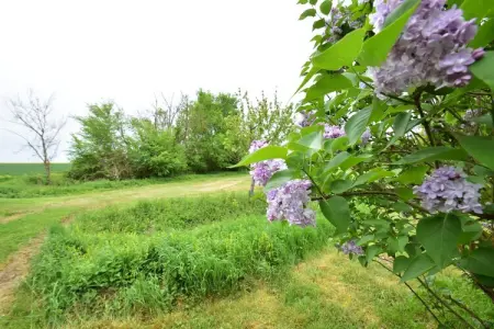 Gite 6 pers près de Châteauroux, Ferme à Giroux près de forêt et lac - Photo 28