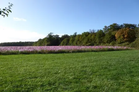 Gite 6 pers près de Châteauroux, Ferme à Giroux près de forêt et lac - Photo 34