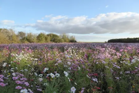 Gite 6 pers près de Châteauroux, Ferme à Giroux près de la forêt et du lac - Photo 35