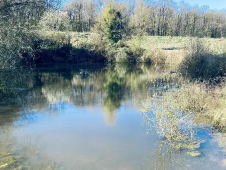 Gîte de luxe avec piscine chauffée et SPA au cœur du Val de Loire - Photo 3