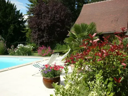 Maison de charme avec piscine partagée à Contres - Photo 9