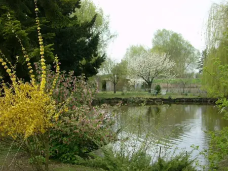 Maison de charme avec piscine partagée à Contres - Photo 10