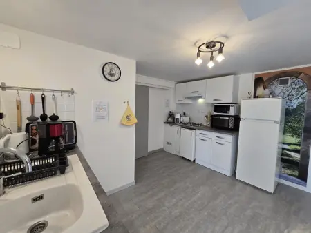 Appartement cosy avec terrasse et piscine dans le Périgord Noir - Photo 3