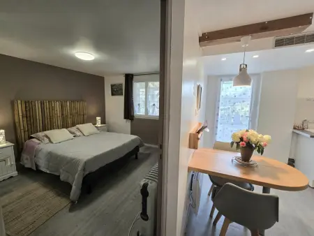 Appartement cosy avec terrasse et piscine dans le Périgord Noir - Photo 6