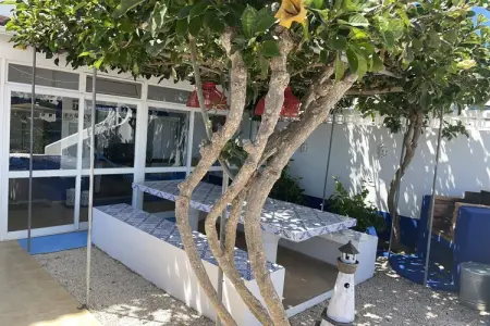 Casa Bacalhau (apartment near Benagil Beach), Appartement près de la plage de Benagil - Photo 20
