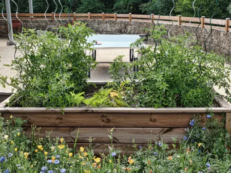 Grand gîte rénové, billard, baby-foot, vue sur rivière, terrasse, activités diverses - Photo 29