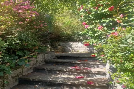Casa Adele 6, Villa à Ghiffa avec vue sur le Lac Majeur - Photo 27