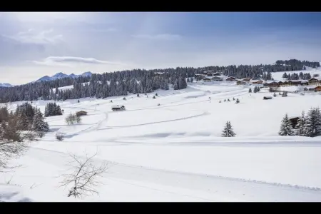 SAISIES_S8L, Appartement à Hauteluce avec Ski-In/Ski-Out - Photo 36