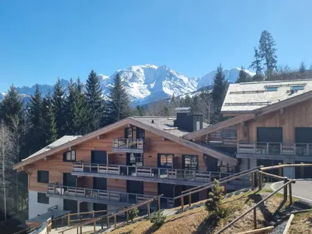 Appartement neuf 2 chambres près des pistes à Combloux avec parking - Photo 18