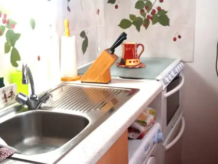 À louer : Appartement cosy 2 pièces cabine avec vue montagne - Photo 2