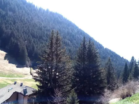 À louer : Appartement cosy 2 pièces cabine avec vue montagne - Photo 8