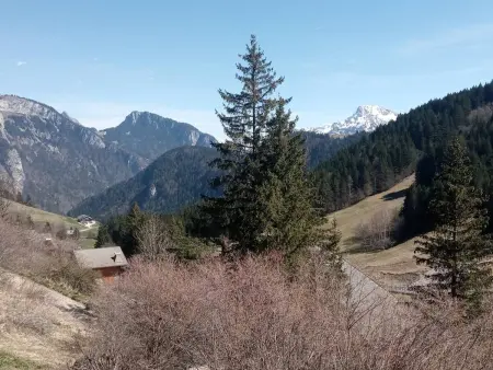 À louer : Appartement cosy 2 pièces cabine avec vue montagne - Photo 9