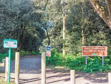 Proche Océan, forêt et commerces, Maison 4 personnes à Fromentine - Photo 22