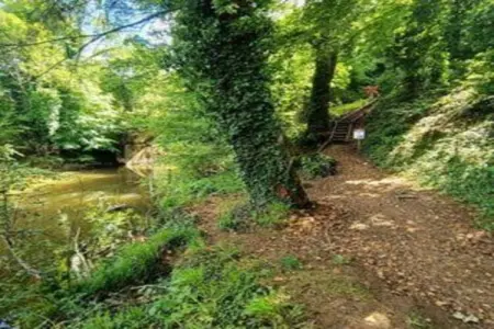 Verblijfpark Ardinam 3, Chalet à Olloy-sur-Viroin avec Terrasse - Photo 37