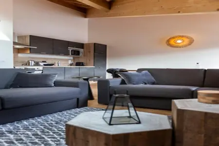 VAUJANY Le Saphir-A38S, Appartement à Vaujany près d'Alpe d'Huez - Photo 9