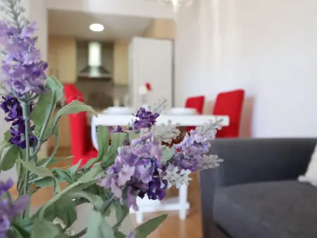 Appartement au rez-de-chaussée pour cyclistes en couple - Photo 12