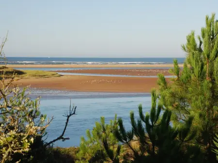 Charmant Pigeonnier rénové avec Wi-Fi, proche Port Bourgenay - Photo 13