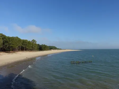 La Miscandière, Maison 12 personnes à Île d'Oléron - Photo 41