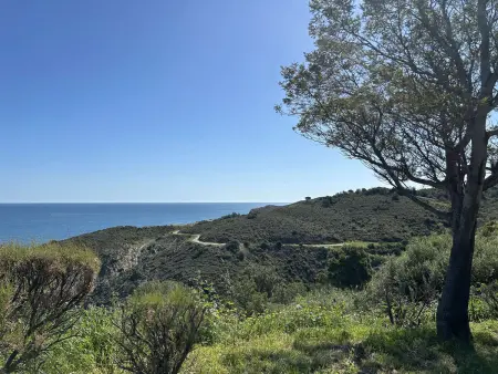 Appartement moderne 2 pièces avec parking et Wi-Fi à Banyuls-sur-Mer - Photo 15