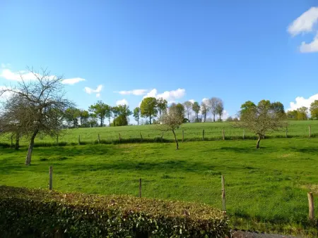 Manoir Percheron Indépendant avec Jardin et Babyfoot - Photo 24