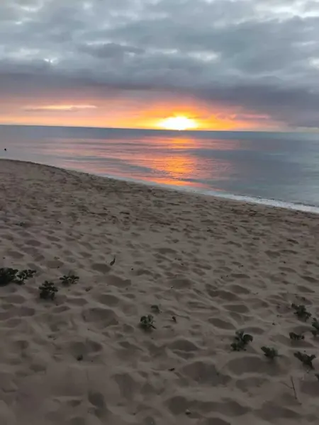 Appartement avec vue jardin à Deshaies 80 m² avec piscine - Photo 10