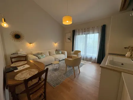 Studio Jungle avec terrasse et piscine chauffée près de Nantes - Photo 3
