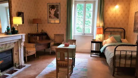 Villa historique à Berrias-et-Casteljau, 350 m² avec piscine privée - Photo 3
