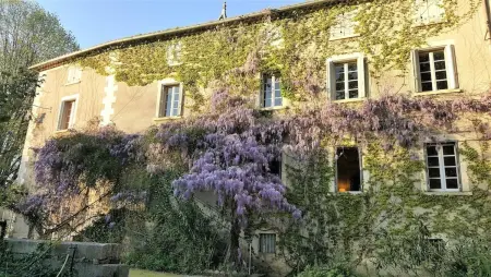 Villa historique à Berrias-et-Casteljau, 350 m² avec piscine privée - Photo 4