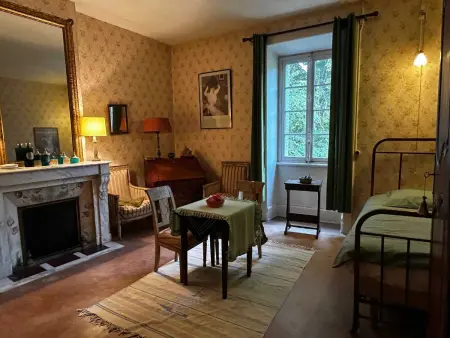 Villa historique à Berrias-et-Casteljau, 350 m² avec piscine privée - Photo 19