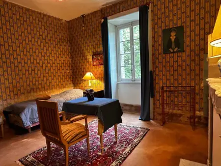 Villa historique à Berrias-et-Casteljau, 350 m² avec piscine privée - Photo 23