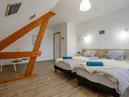 Maison spacieuse dans la Forêt d’Orient avec spa et animaux admis - Photo 12