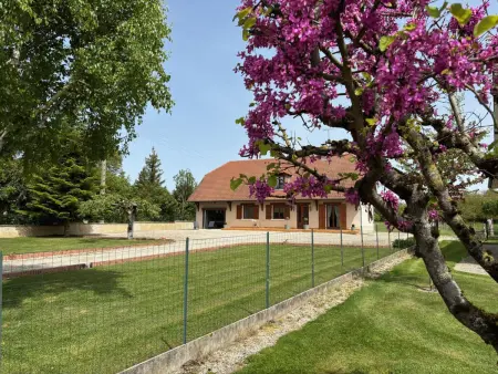 Maison spacieuse dans la Forêt d’Orient avec spa et animaux admis - Photo 23