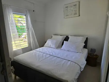 Maison confortable à Baie-Mahault avec jardin privatif - Photo 28
